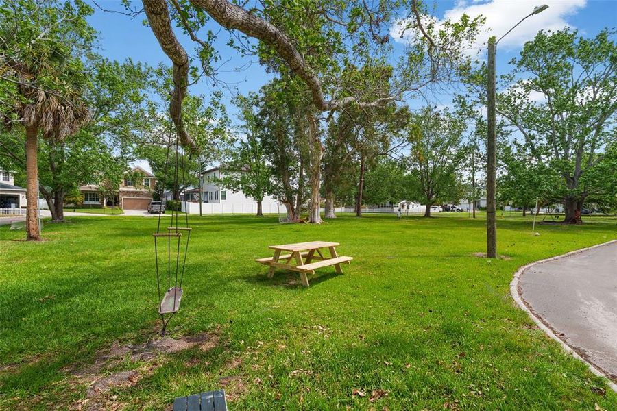 Natural landscape and outdoor views near  in Tampa (Image 27).