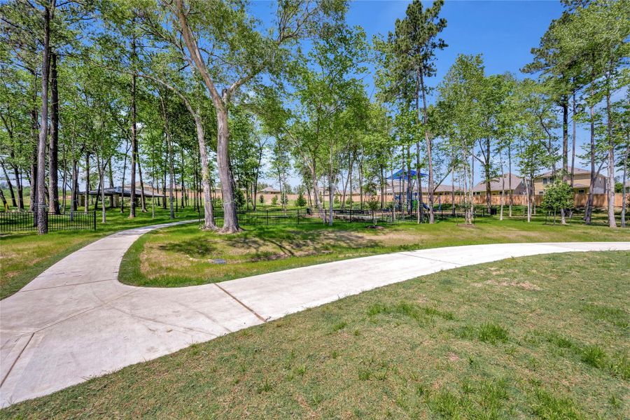 Natural landscape and outdoor views near Pine Lake Cove - Classic Series in Montgomery (Image 5).