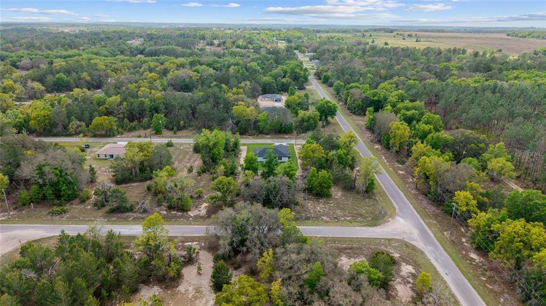 Natural landscape and outdoor views near  in Ocklawaha (Image 46).