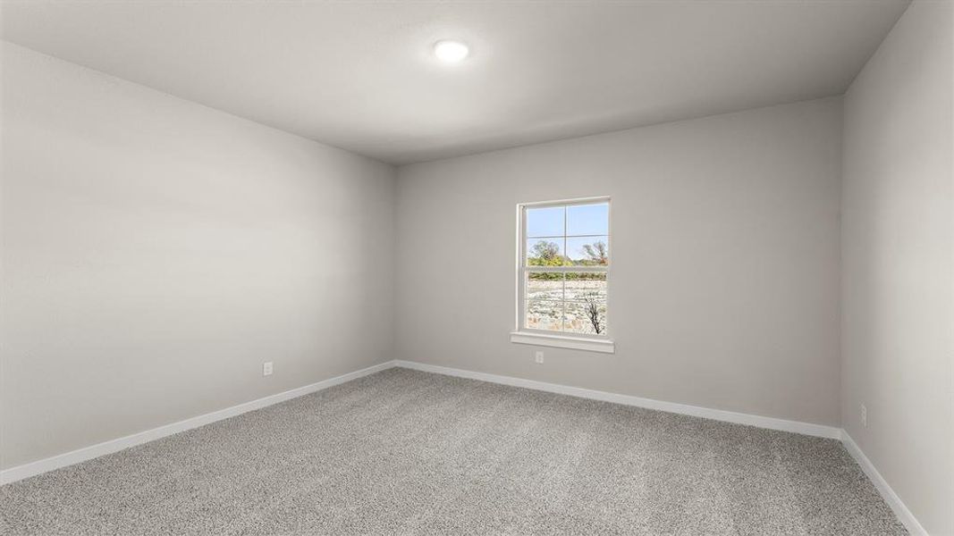 24. 1421 Tipperary - Bed 3