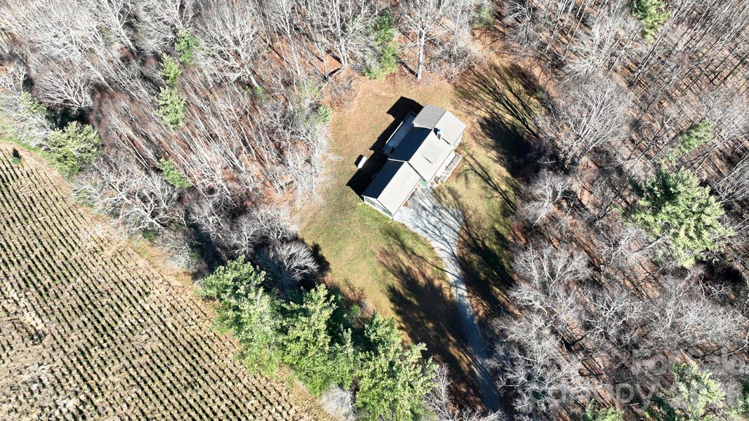 Site preparation for new homesites in , Laurel Springs (Image 31).