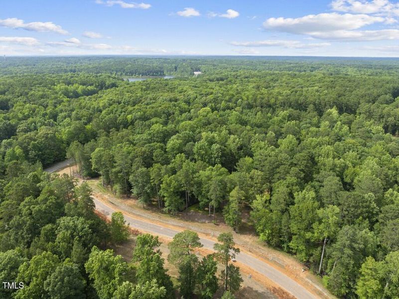 DJI_20250617162728_0090_D (Medium)