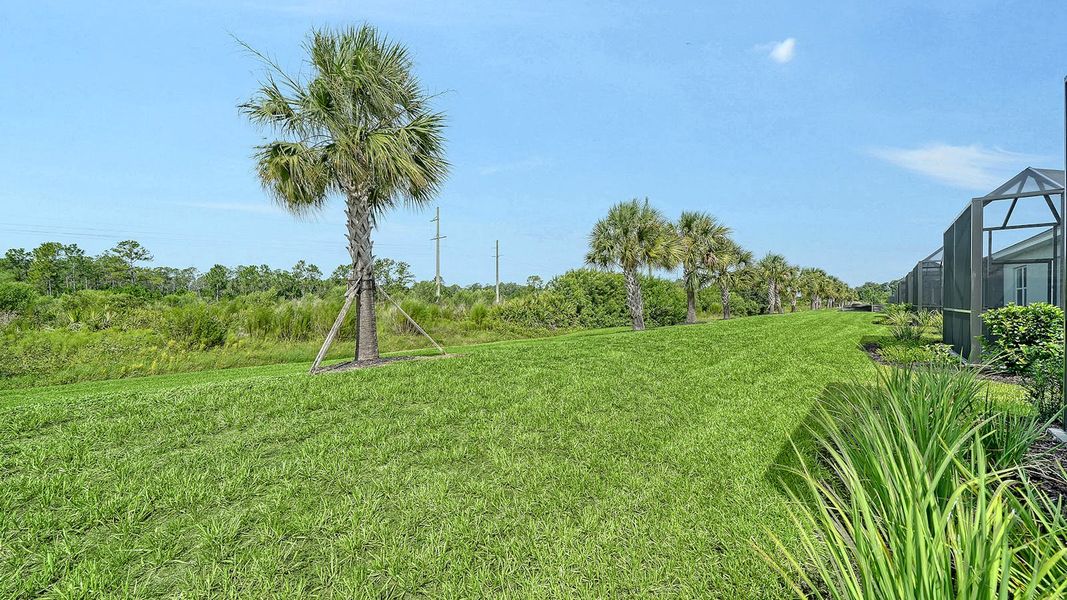 Natural landscape and outdoor views near Windward Real Estate and Homes for Sale in Sarasota, FL - Neal Communities in Lakewood Ranch (Image 37).