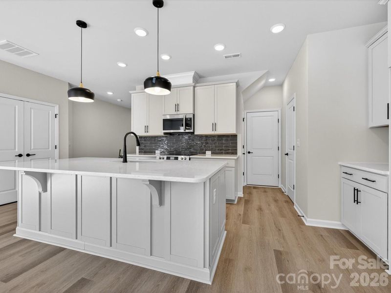 Frost cabinets with quartz countertops, soft close doors & drawers, sold shelving in pantry.