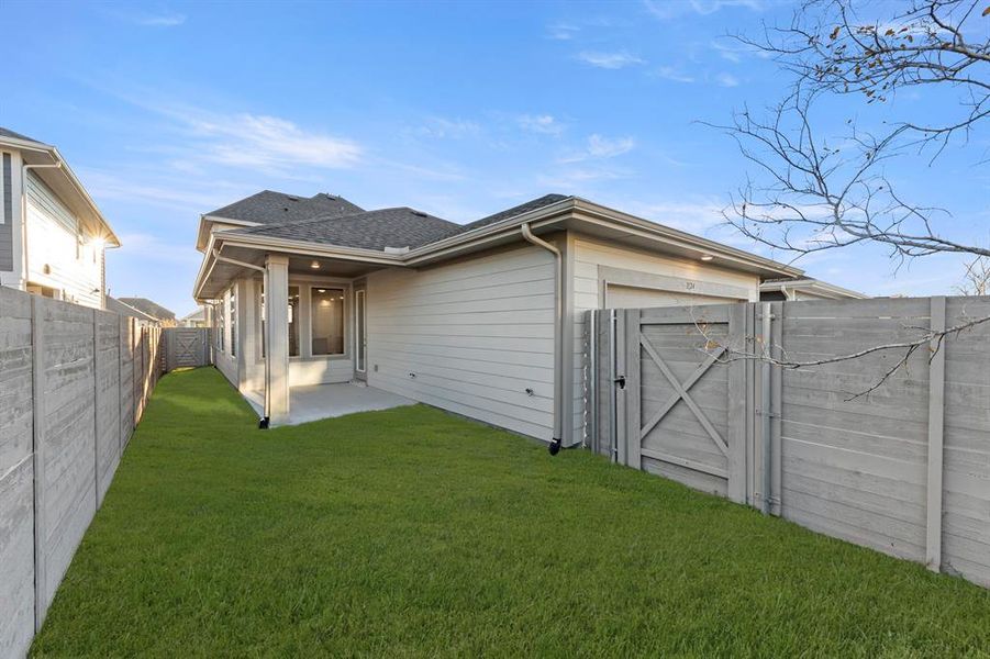 27. 3124 Lenten Rose - Back (2)