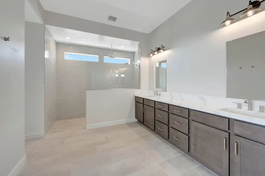 Owner's Bath