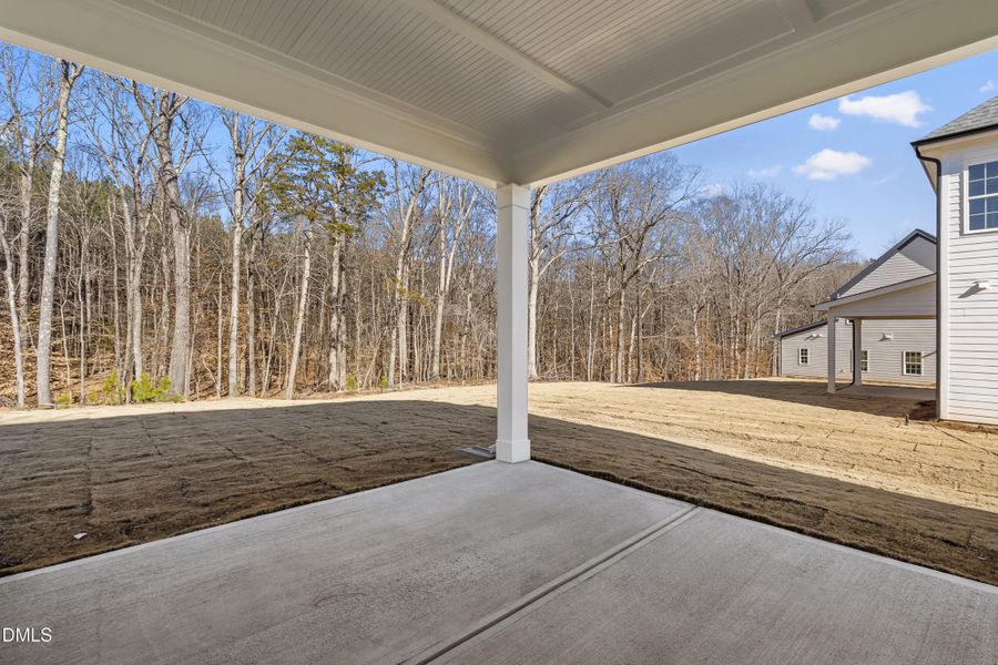 Exterior - Rear Porch - To Trees - DSC04