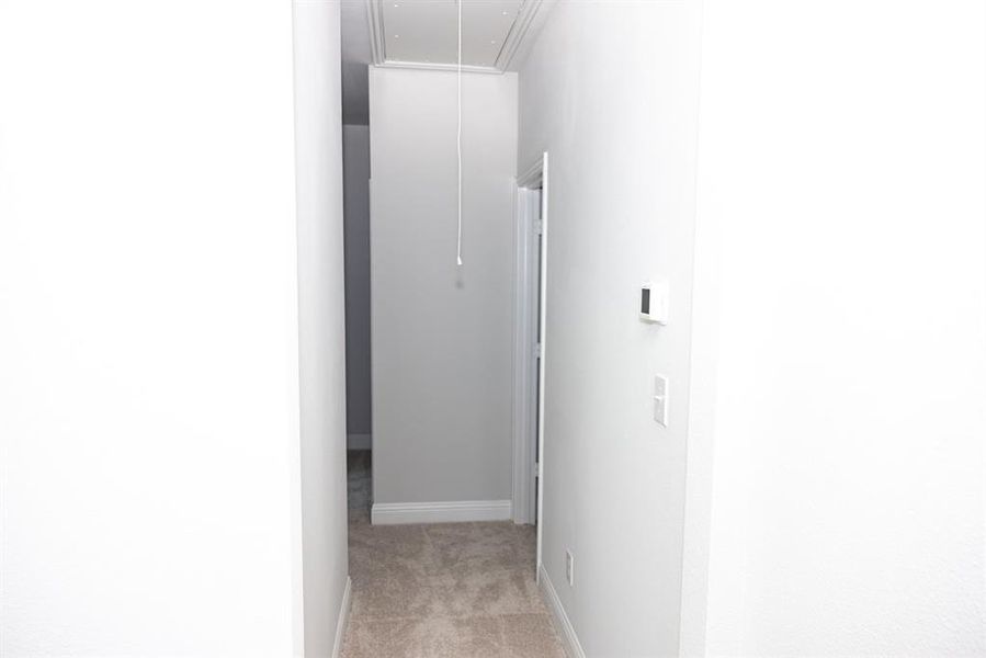 Hallway with attic access and light carpet Hallway with attic access and light carpet