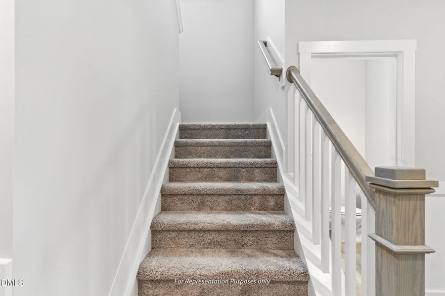 Holly Unurnished with gourmet and messy