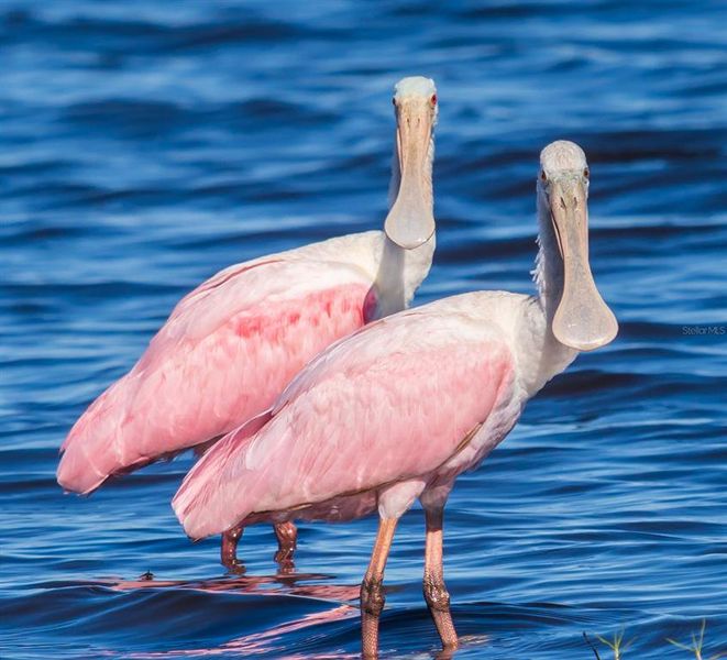 Image 76 of a home in . Image 76 of a home in .