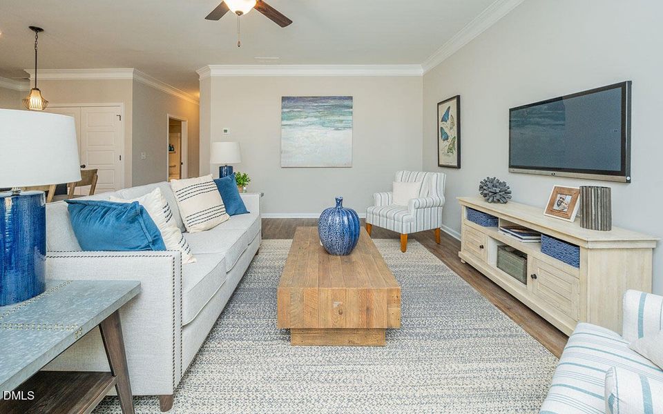 Representational Photo