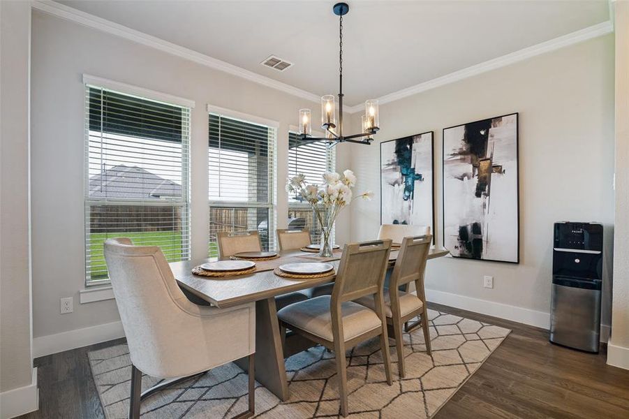 Dining area featuring wood-finish flooring, two large windows with blinds, crown molding, and a modern chandelier with glass shades