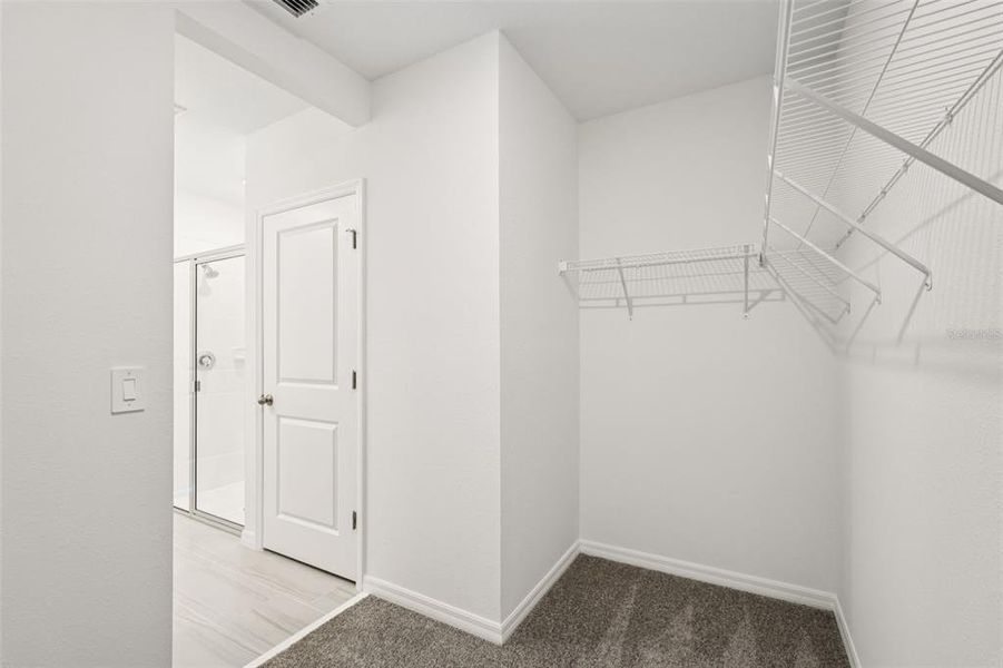 Spacious, unfurnished interior of a new home in , Lake Hamilton (Image 26).