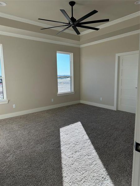 Carpeted spare room with ceiling fan and ornamental molding