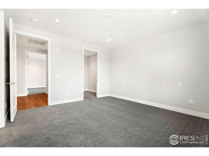 Primary bedroom with walk-in closet