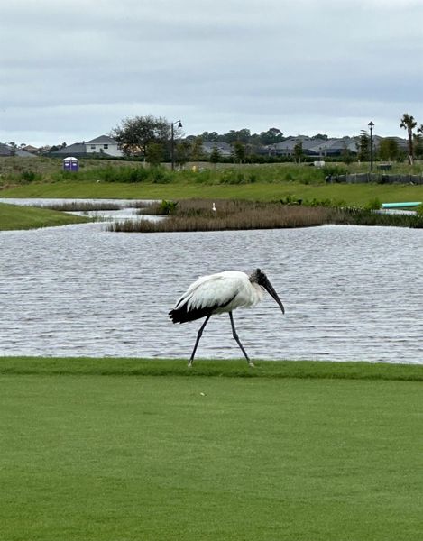 Image 36 of a home in .