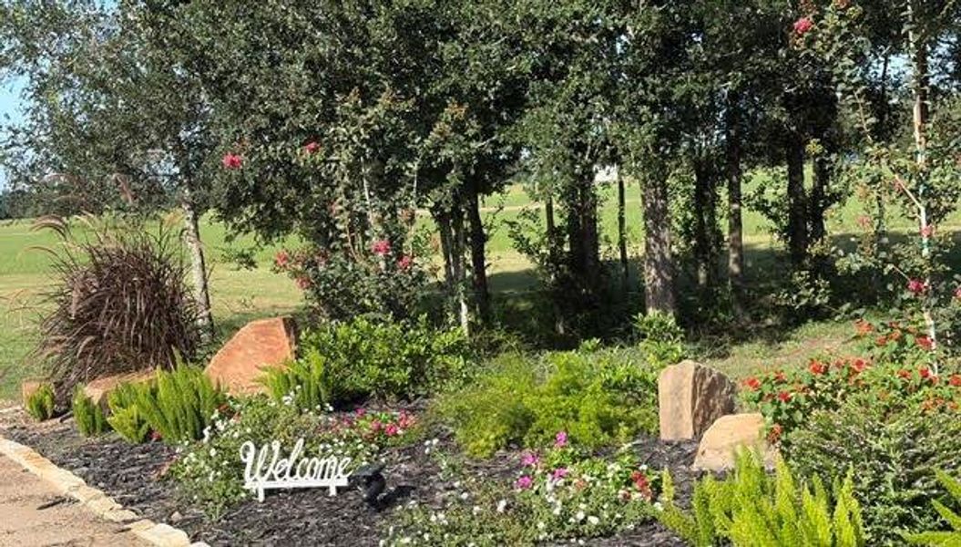 Natural landscape and outdoor views near  in El Campo (Image 45).