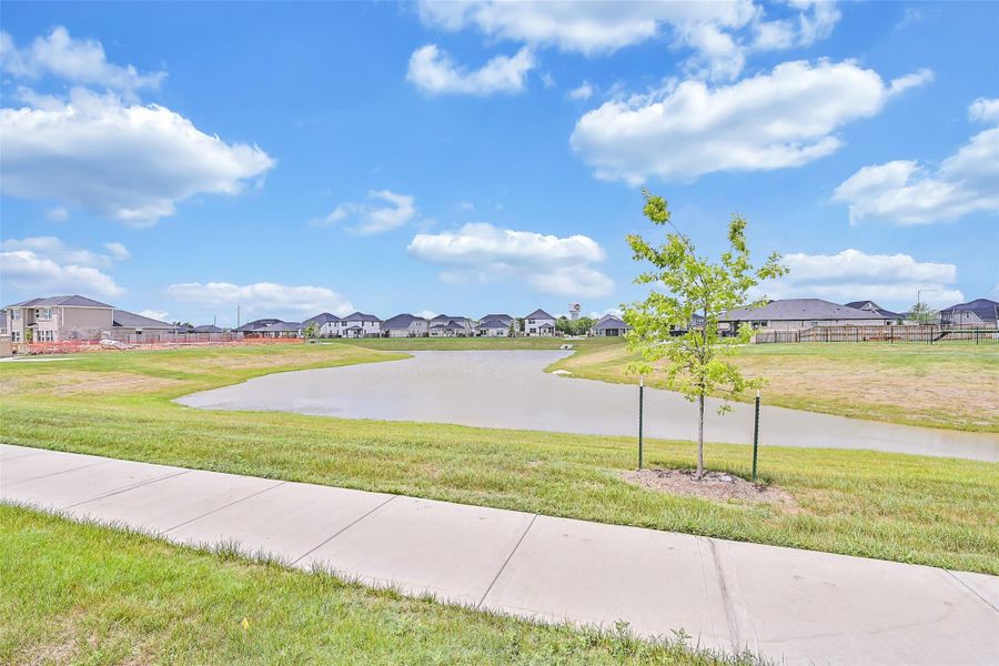 Natural landscape and outdoor views near Laurel Landing in Alvin (Image 33).