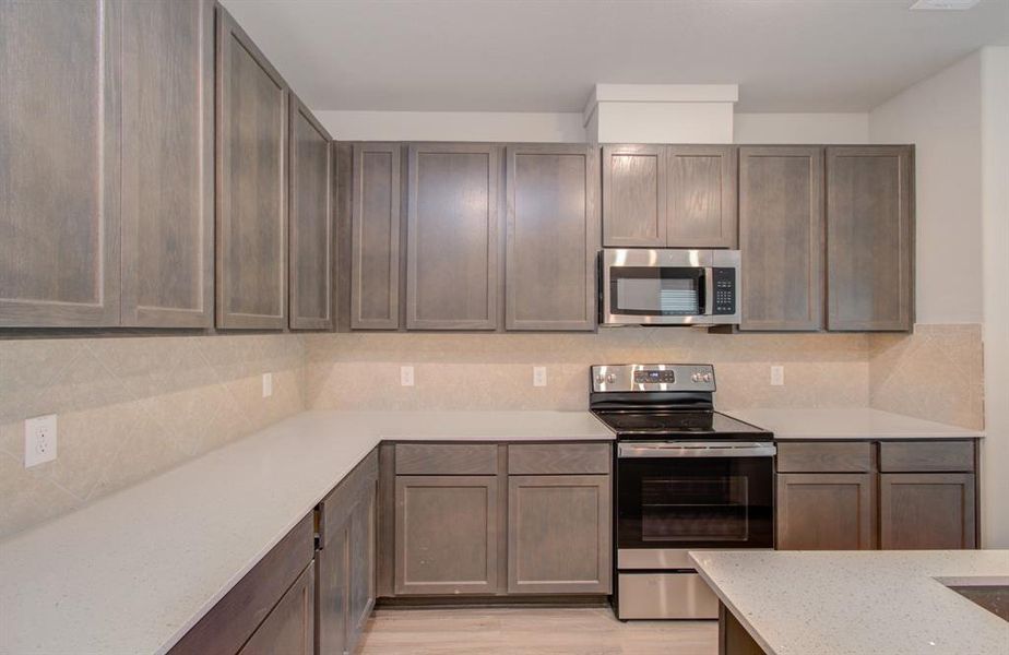 Beautiful cabinets with quartz counters