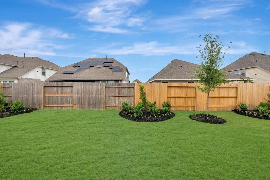 Amazing backyard Amazing backyard