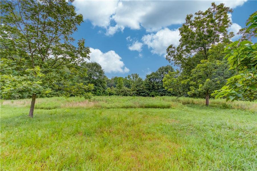 Natural landscape and outdoor views near in Martin (Image 35). Natural landscape and outdoor views near in Martin (Image 35).