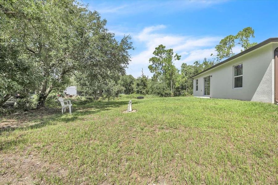 Natural landscape and outdoor views near in Punta Gorda (Image 33). Natural landscape and outdoor views near in Punta Gorda (Image 33).