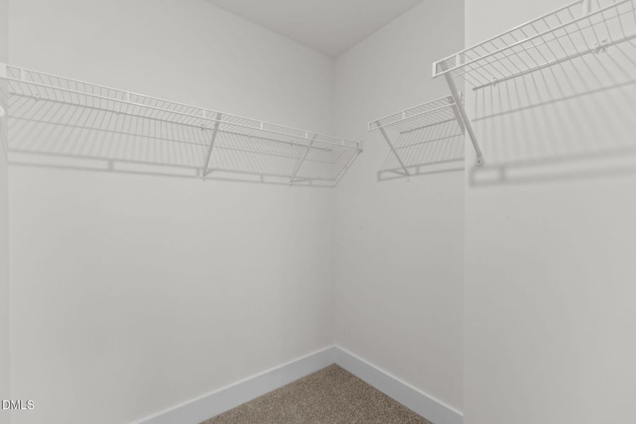 23-web-or-mls-2N6A0142