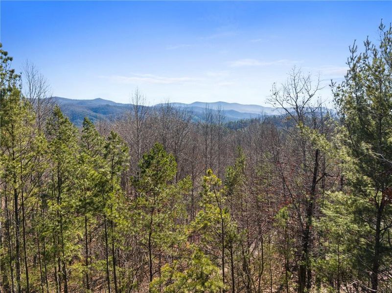 Natural landscape and outdoor views near  in Blue Ridge (Image 58).