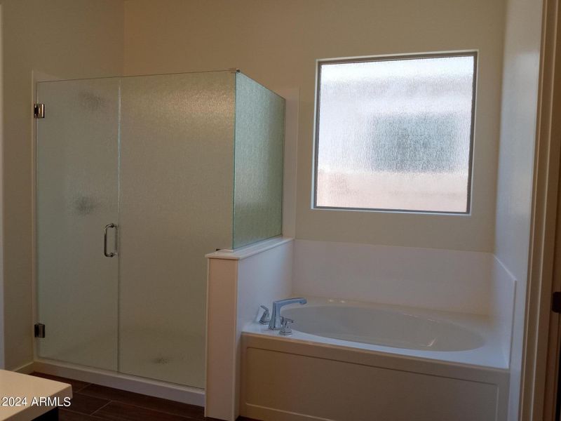 Primary Separate Tub & Shower