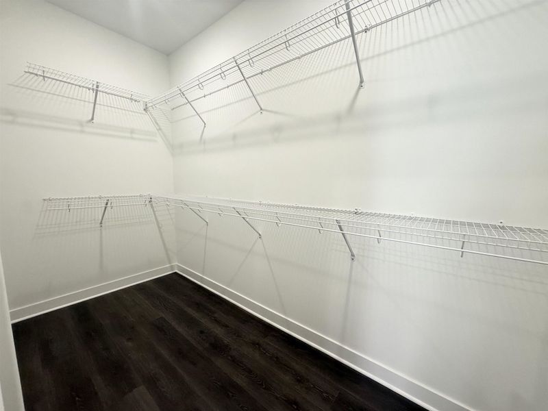 Walk in closet featuring dark wood finished floors