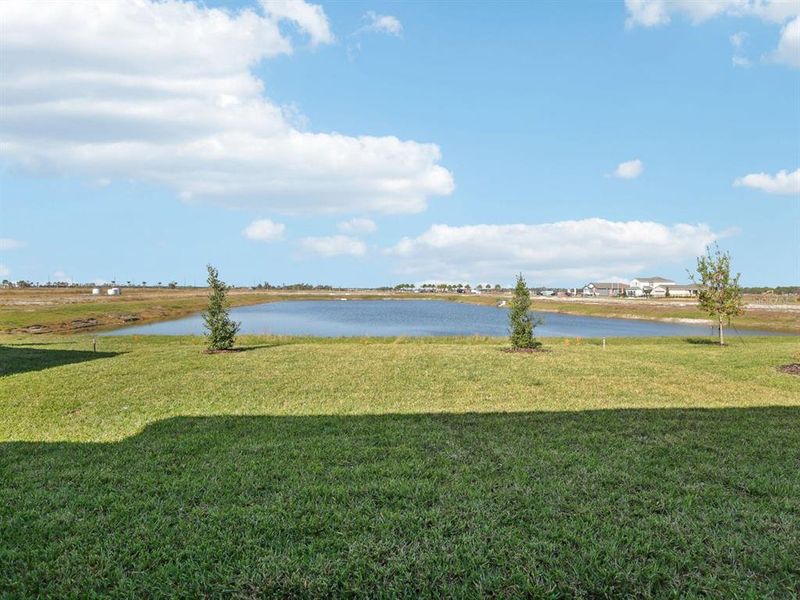 Natural landscape and outdoor views near Coasterra - Reserve Series in Palmetto (Image 41).