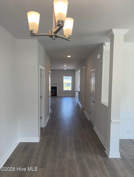 Spacious, unfurnished interior of a new home in Summer Place, Grimesland (Image 7). Spacious, unfurnished interior of a new home in Summer Place, Grimesland (Image 7).