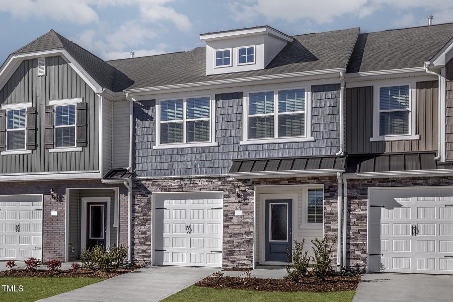 Southeast_Loblolly_L_002 Southeast_Loblolly_L_002