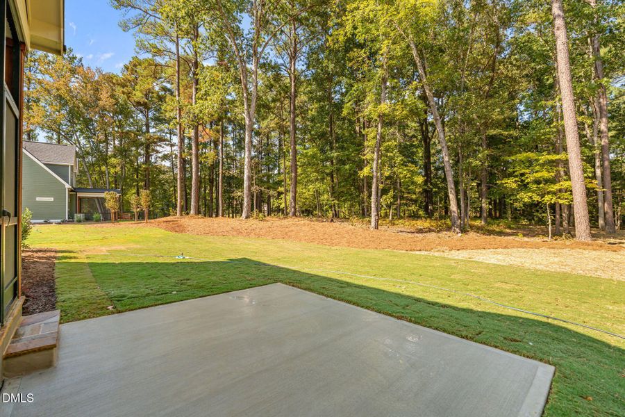 46-web-or-mls-DSC06488