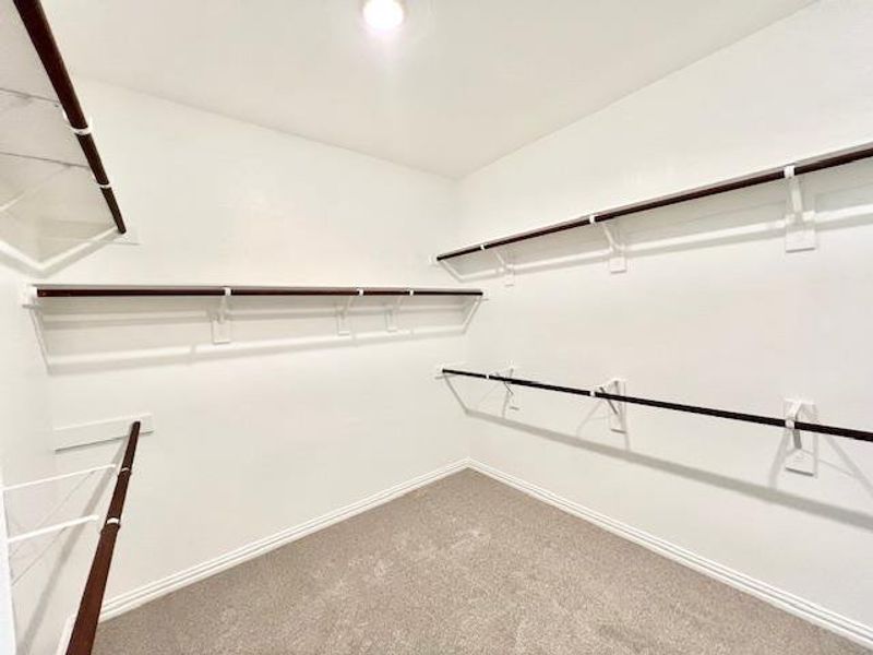 Spacious closet featuring carpet Spacious closet featuring carpet