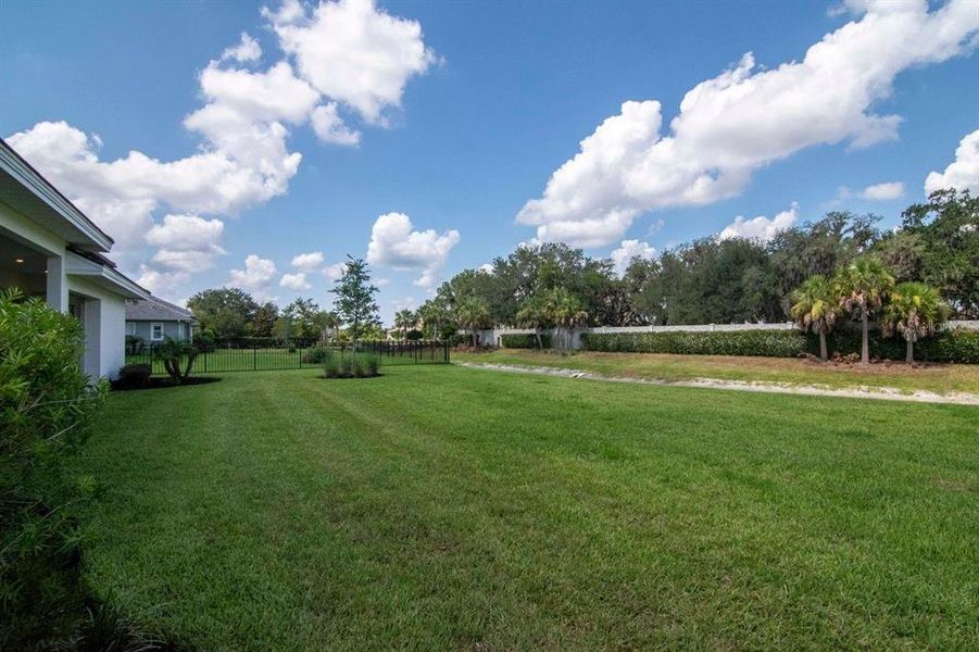 Natural landscape and outdoor views near River's Edge in Wesley Chapel (Image 65).