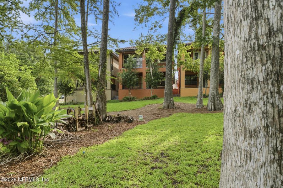 Natural landscape and outdoor views near  in Jacksonville (Image 38).