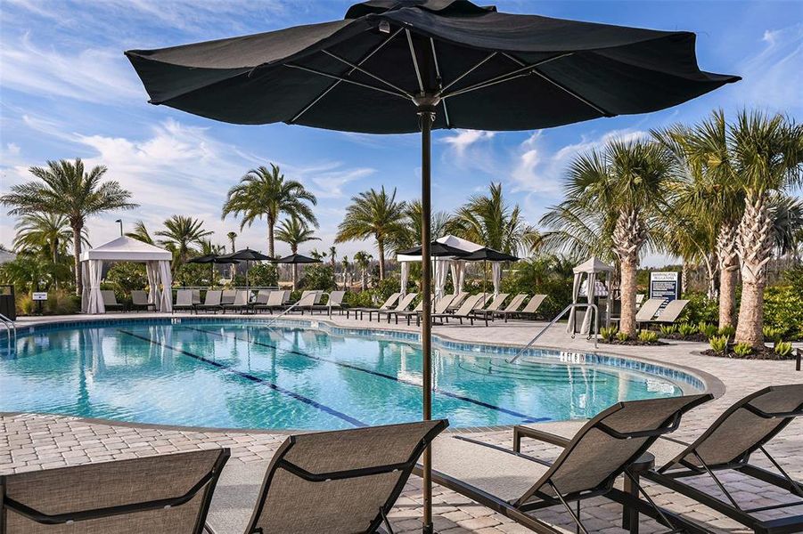 Community amenities in Esplanade at Wiregrass Ranch, Wesley Chapel (Image 59).
