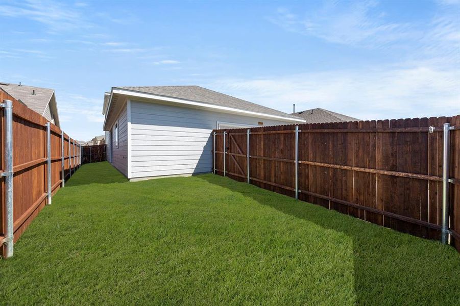 27. 3709 Jade - Back (2)