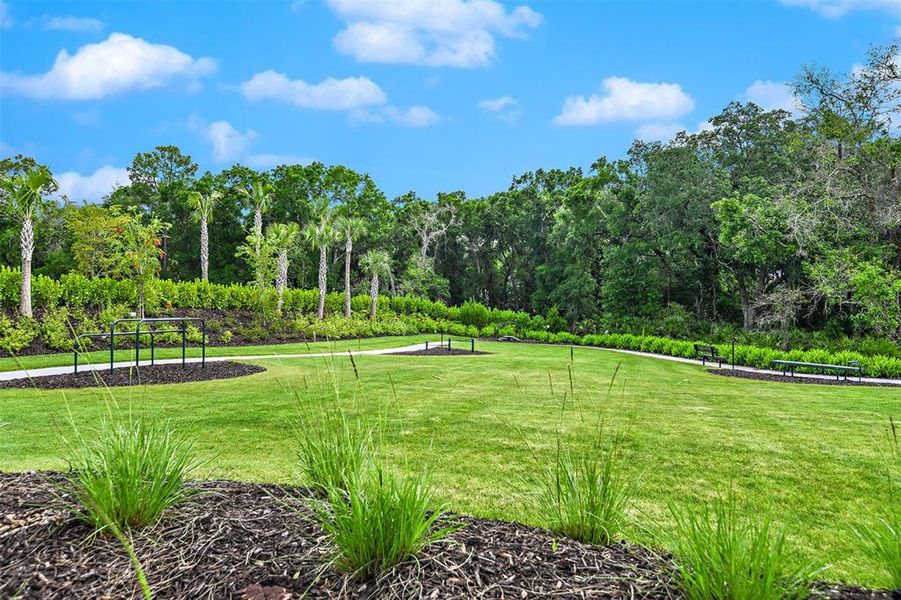 Natural landscape and outdoor views near Esplanade at Azario Lakewood Ranch in Bradenton (Image 58). Natural landscape and outdoor views near Esplanade at Azario Lakewood Ranch in Bradenton (Image 58).