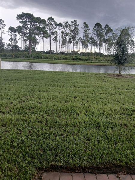 Natural landscape and outdoor views near Lake Deer Estates - Signature Series in Poinciana (Image 14).