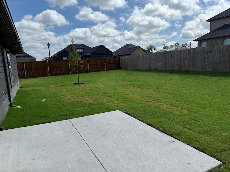 Generous back yard. Fully irrigated, sodded and wood privacy fenced Generous back yard. Fully irrigated, sodded and wood privacy fenced