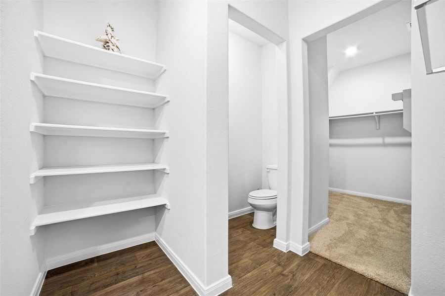 Bathroom with a walk in closet and dark wood-style flooring Bathroom with a walk in closet and dark wood-style flooring