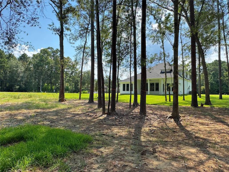 Natural landscape and outdoor views near in Houston (Image 24). Natural landscape and outdoor views near in Houston (Image 24).