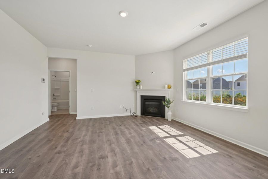 family room-Blue Aspen Dr-S2009-006