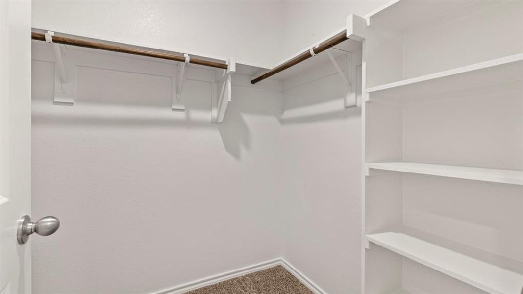 Walk-in closet featuring built-in shelving, two clothing rods, and carpeting