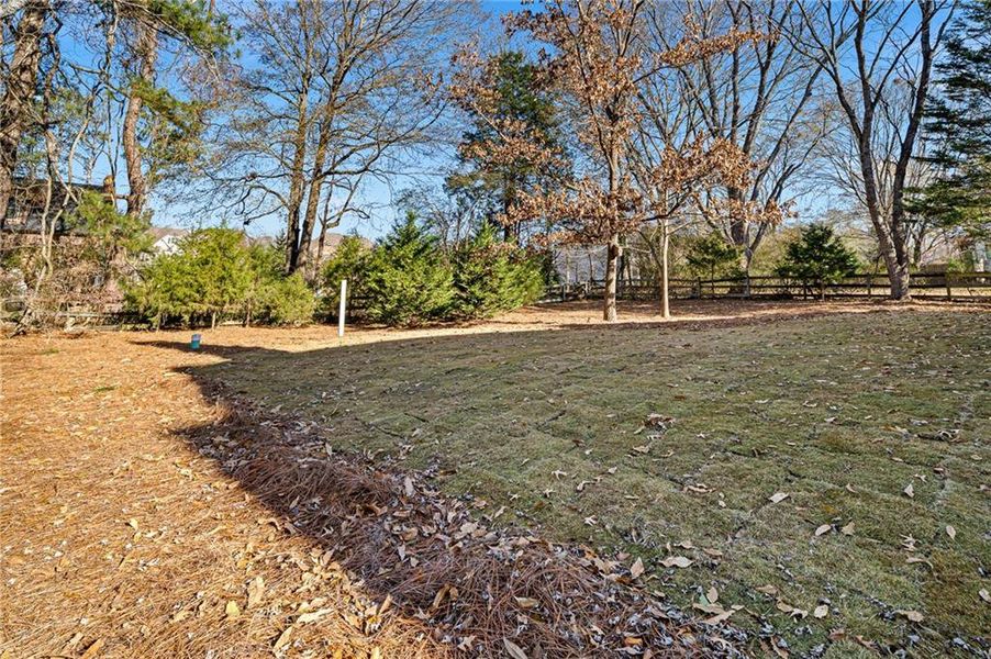 Natural landscape and outdoor views near  in Alpharetta (Image 49).