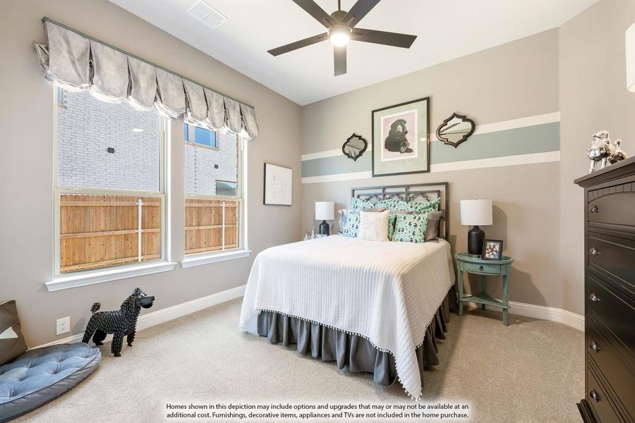 Bedroom with carpet, ceiling fan, two windows with roman shades, and decorative accent stripe on wall Bedroom with carpet, ceiling fan, two windows with roman shades, and decorative accent stripe on wall