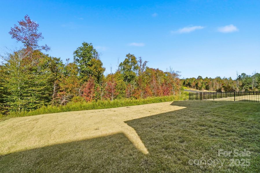 Natural landscape and outdoor views near  in Sherrills Ford (Image 41).