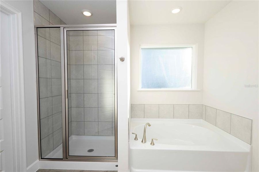 Furnished interior view inside a new home in The Preserve at Laurel Lake, Lake City (Image 8).